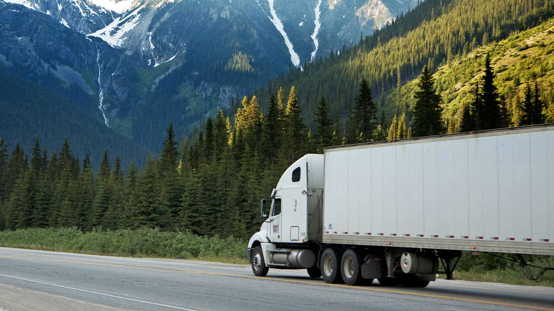 Diesel’s Fuel Injection Service Bow NH Injector Testing, Repair